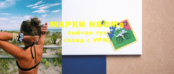индика Алексин
