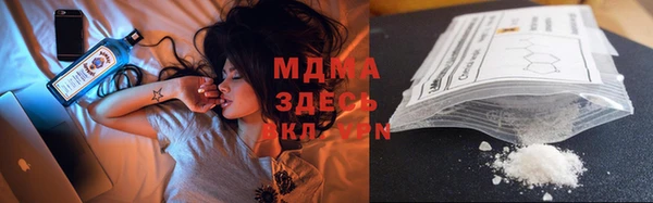 индика Алексин