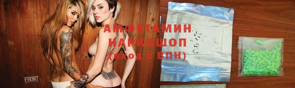 индика Алексин