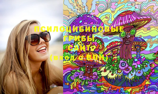 PSILOCYBIN Каменск-Шахтинский