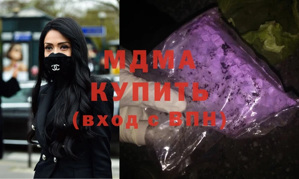 индика Алексин