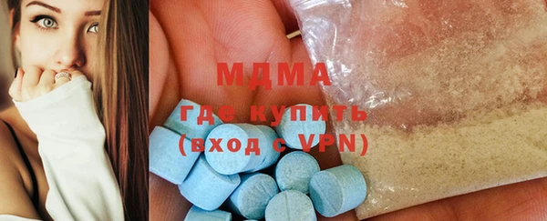 индика Алексин