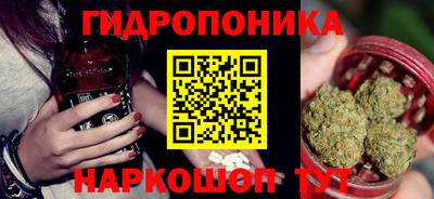 прущие крисы Гудермес