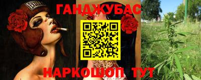 прущие крисы Гудермес