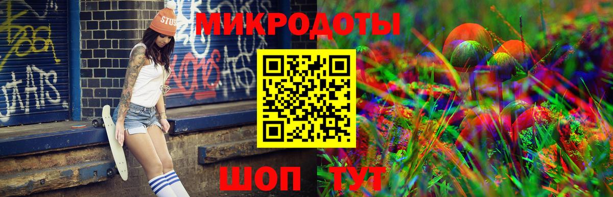 Псилоцибиновые грибы Psilocybe Белгород