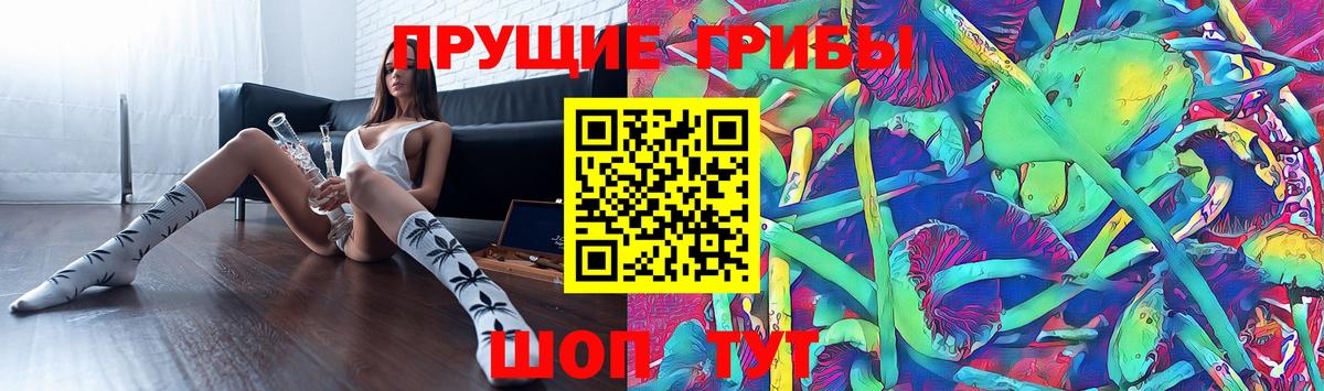 Галлюциногенные грибы Psilocybine cubensis  Вход с VPN  Белгород 
